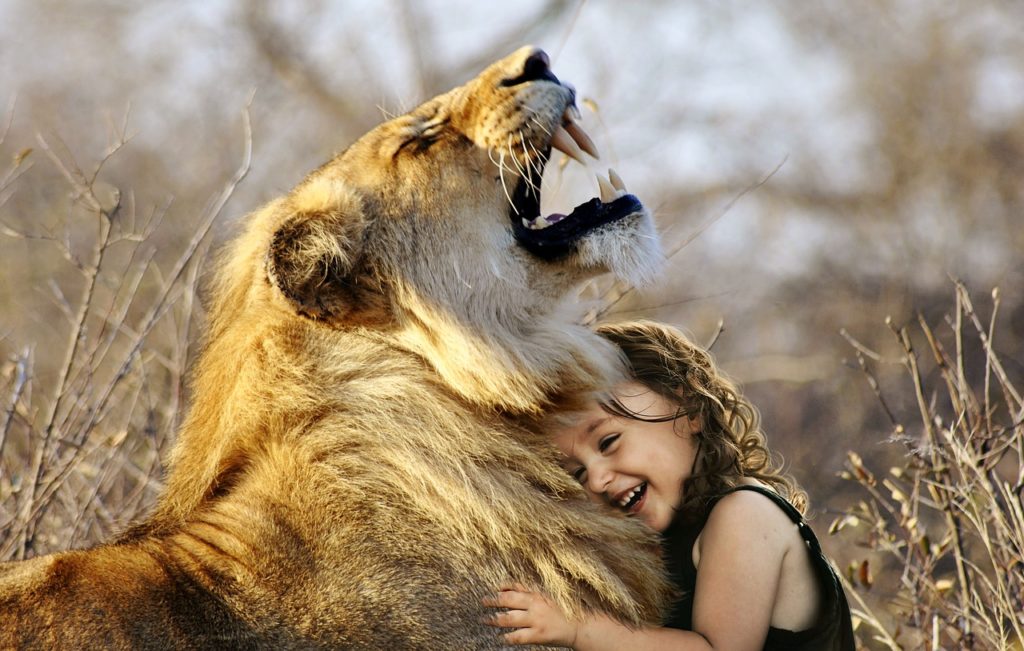 a Leven in liefde en waarheid lion-3012515_1280.jpg pix