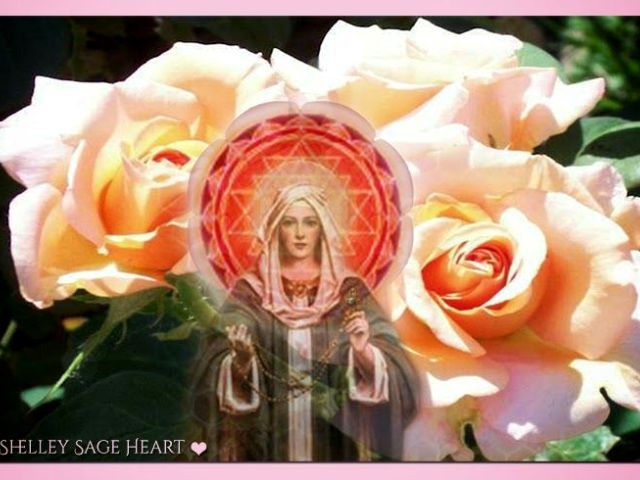 sacred is the rose shelly sage