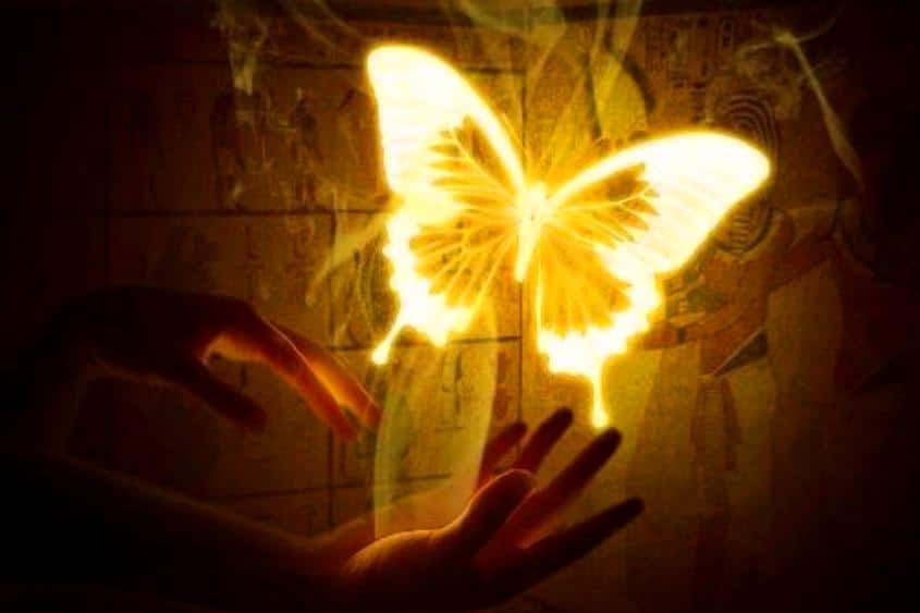 Butterfly of light